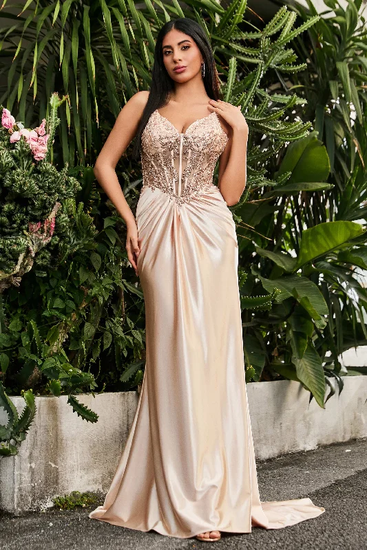 Special Offer See-through Sexy Sweep Train Applique Dress