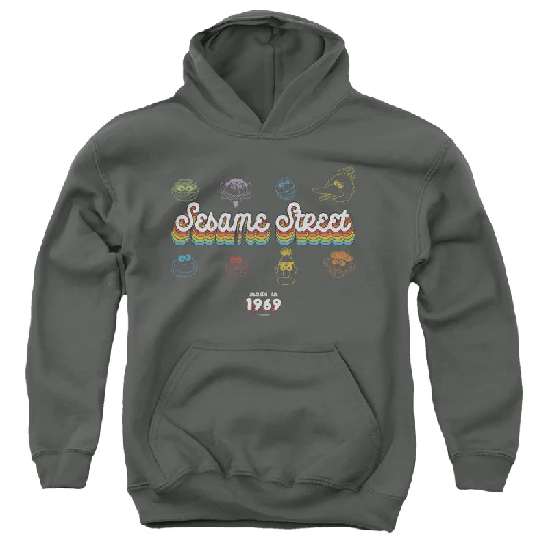 Fantastic Offers Sesame Street Kids Hoodie Made in 1969 Charcoal Hoody